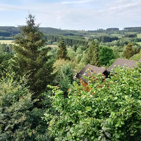Op Recreatiepark Petite Suisse Met Zwembad Dochamps